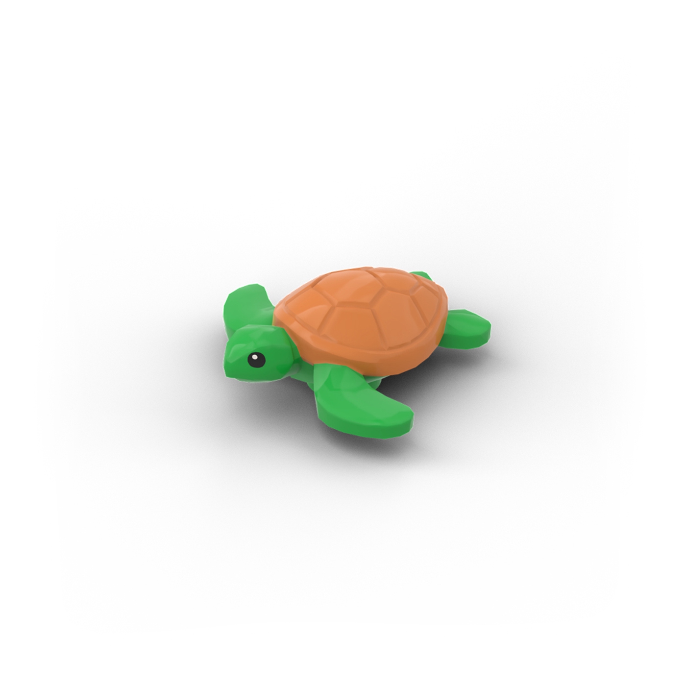 Meeresschildkrötenbaby